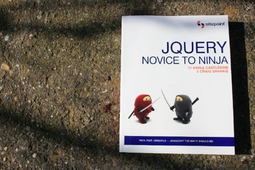 Kniha JQuery - Novice to Ninja v skratke